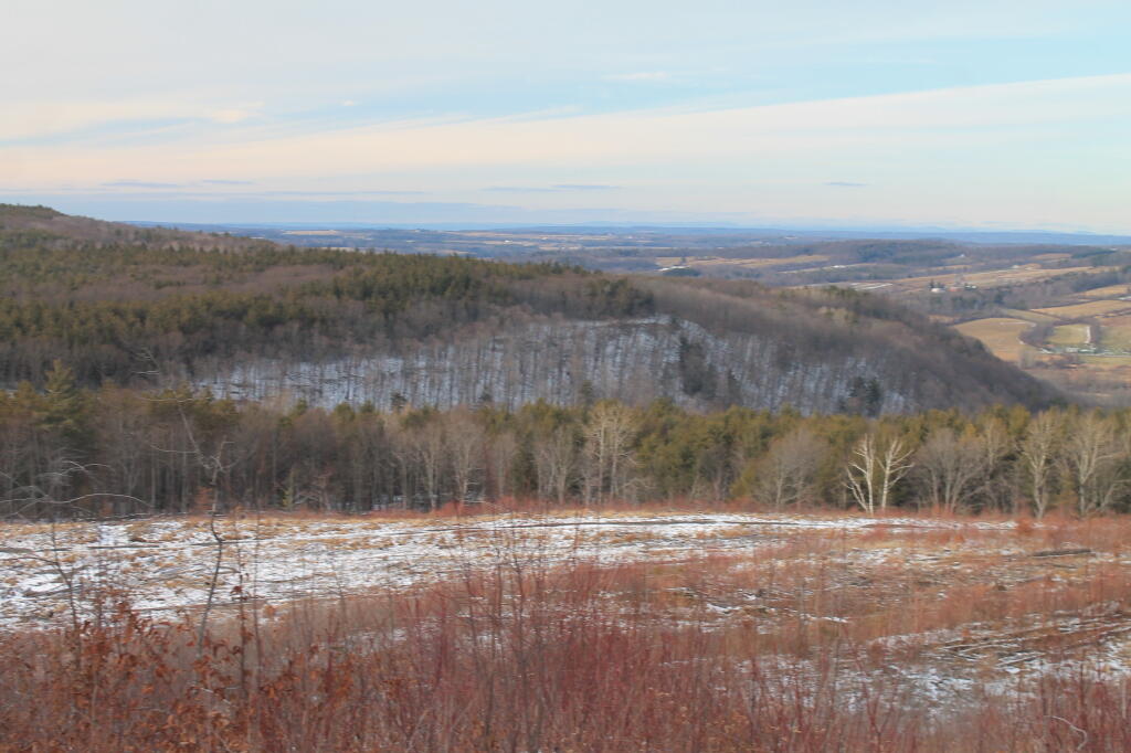 Photo: Irish Hill