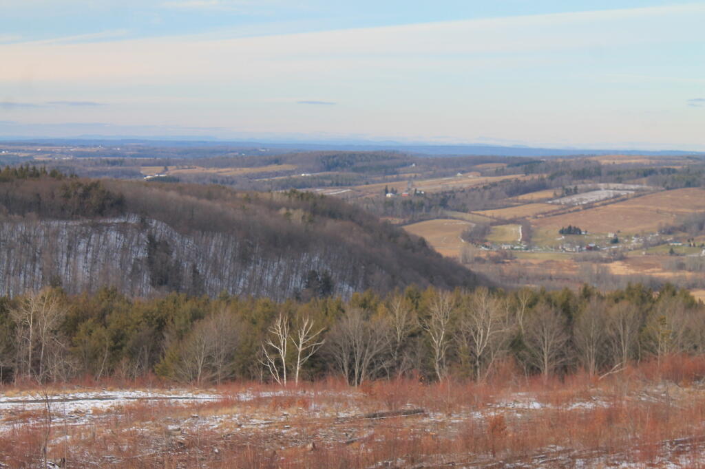 Photo: Irish Hill
