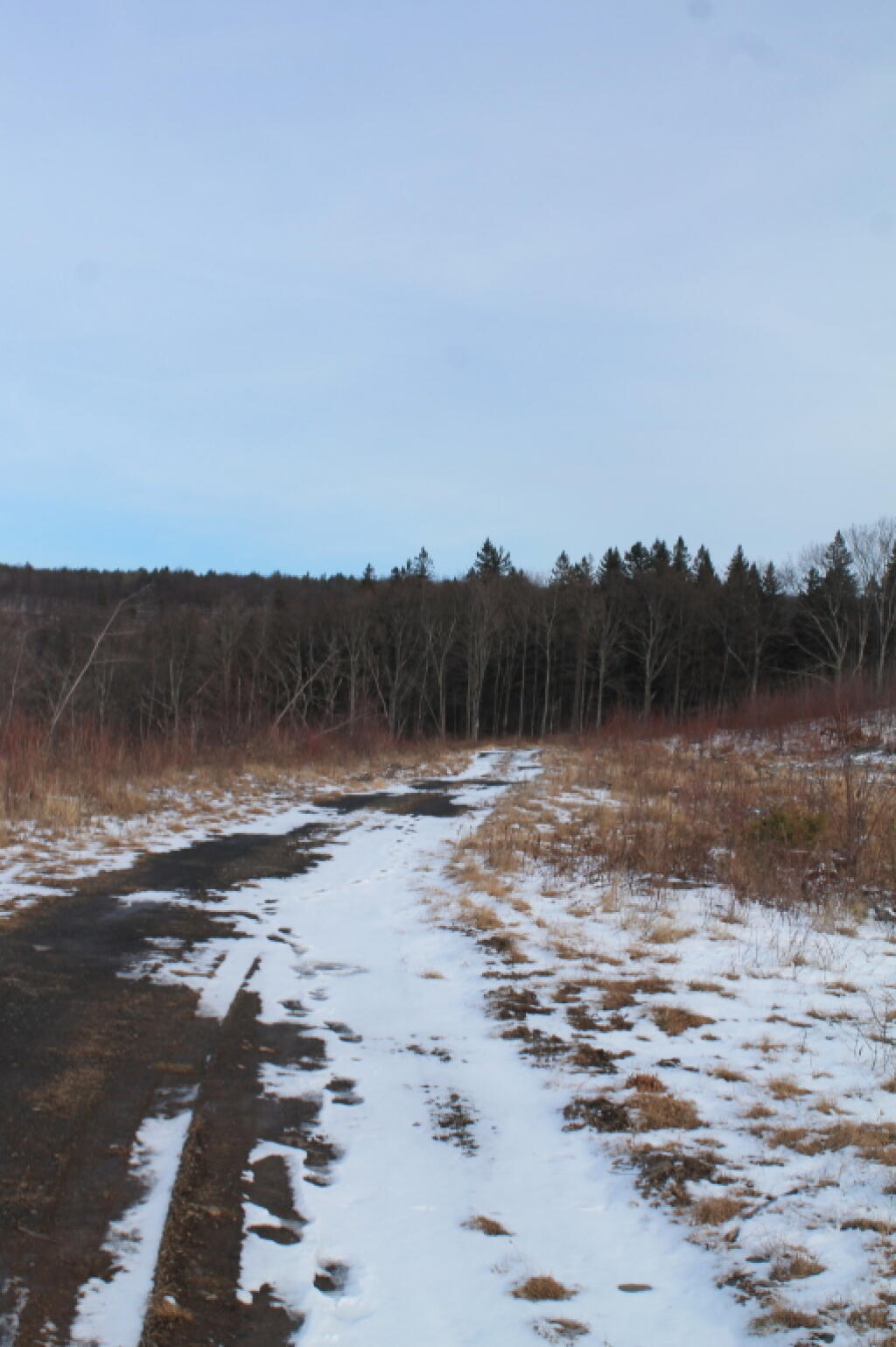 Photo: Cole Hill Truck Trail Photo: Cole Hill Truck Trail
