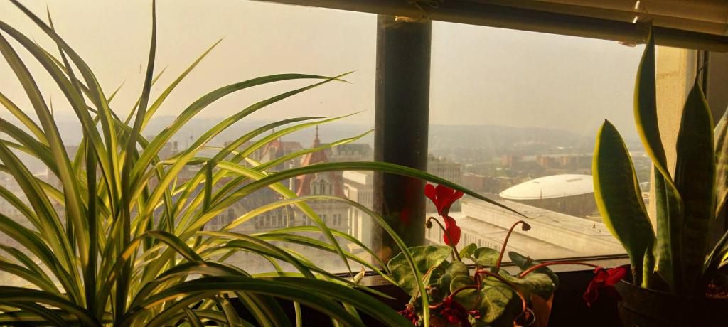 Photo: Smokey Morning Photo: Smokey Morning