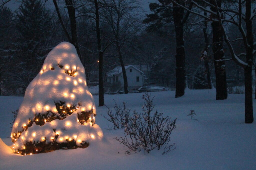 Photo: Untitled Photo: Untitled