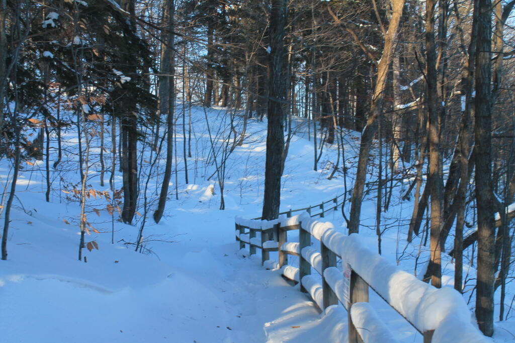 Photo: Escarpment Fence