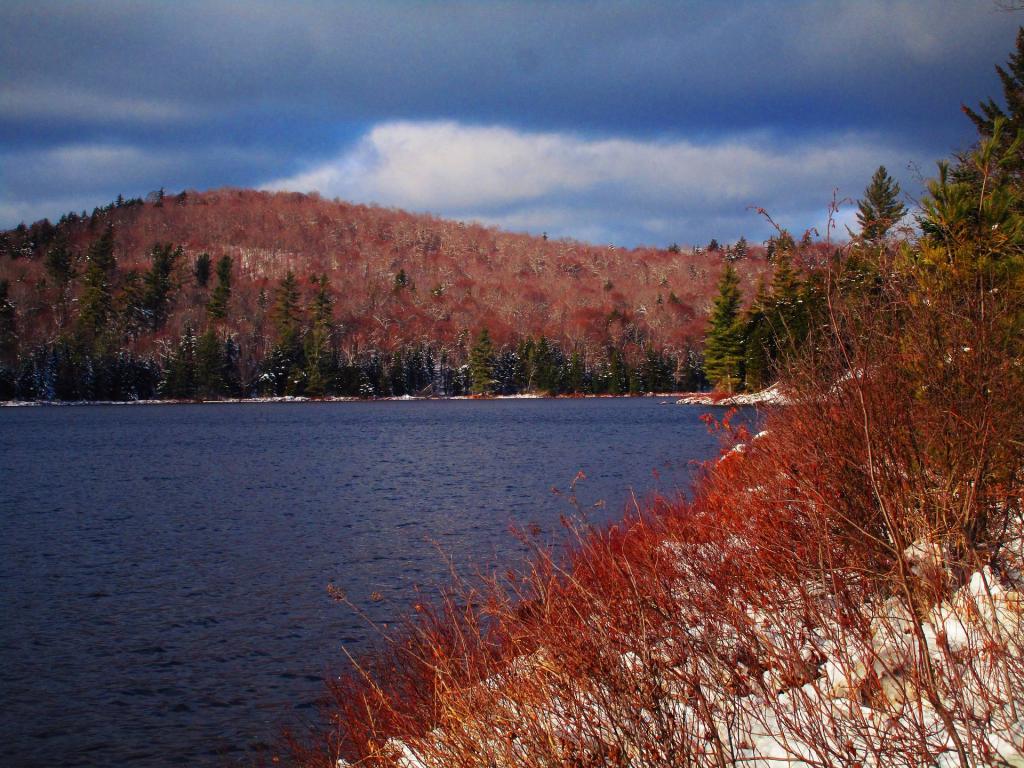 Photo: Clouds Hang Over Siamese Ponds