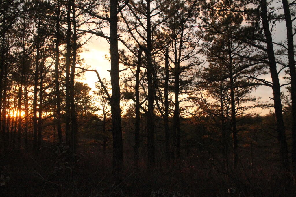Photo: Untitled
