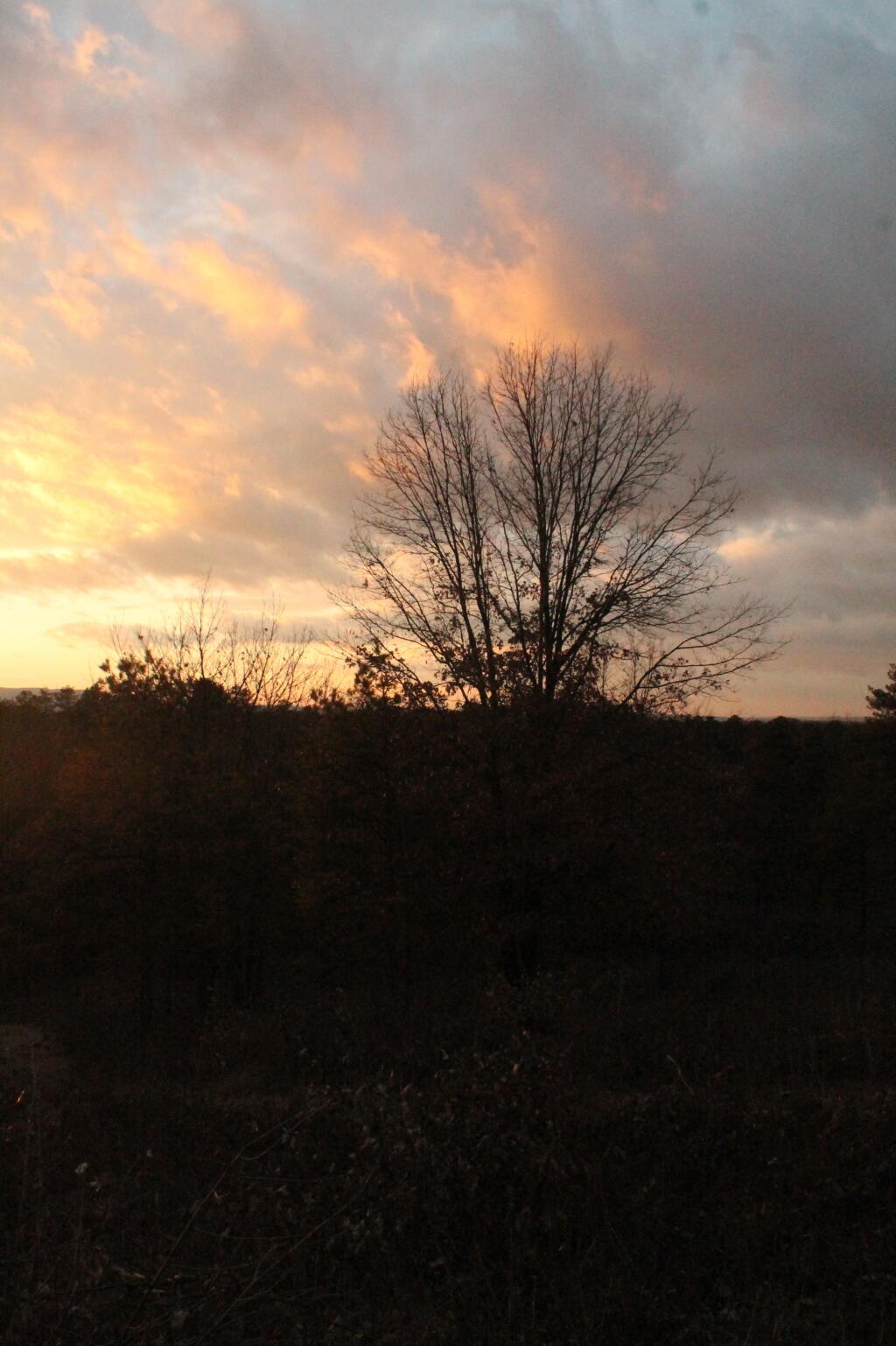 Photo: Untitled Photo: Untitled