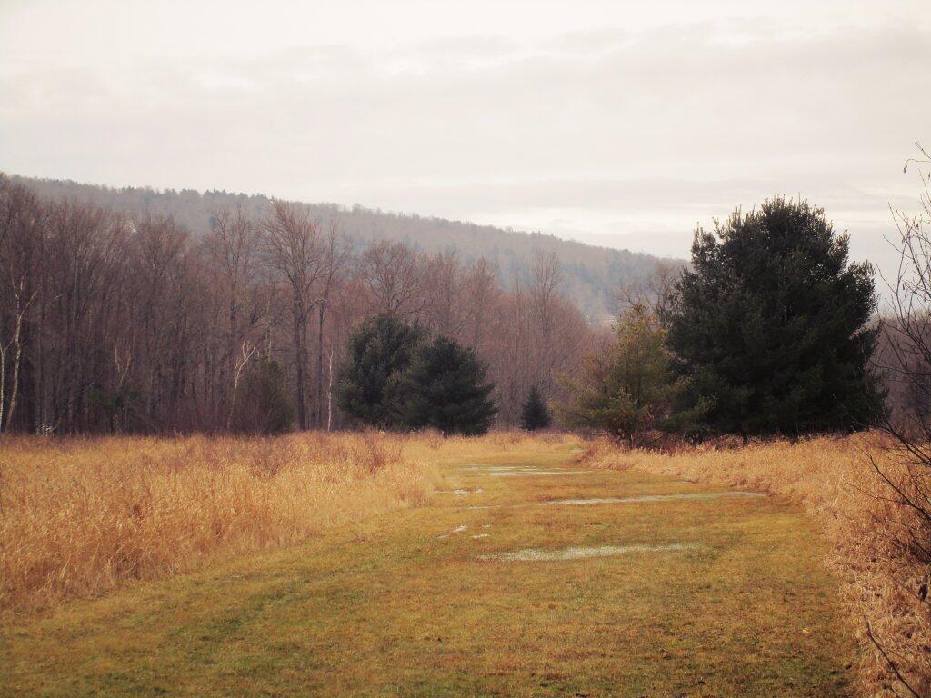 Photo: Always Muddy