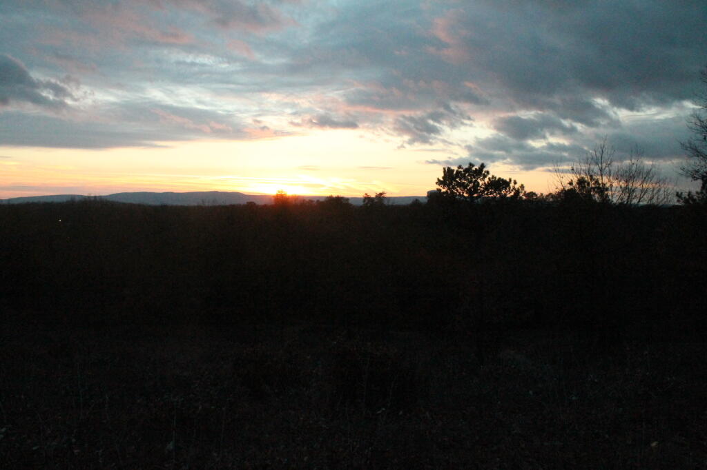 Photo: Untitled