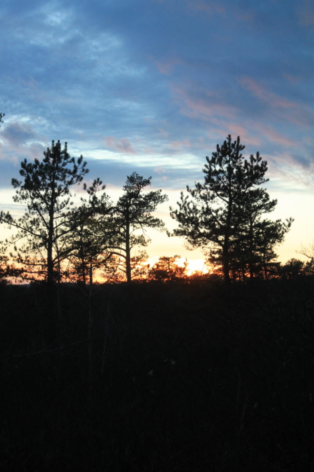 Photo: Untitled Photo: Untitled