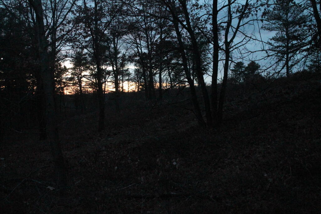 Photo: Untitled Photo: Untitled