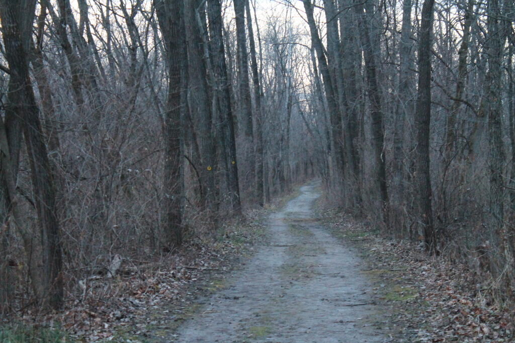 Photo: Yellow Trail Photo: Yellow Trail