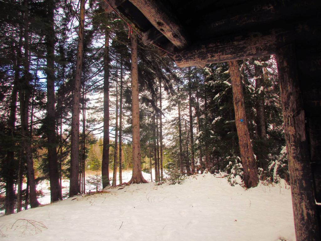 Photo: Burnt Shanty Lean-To View