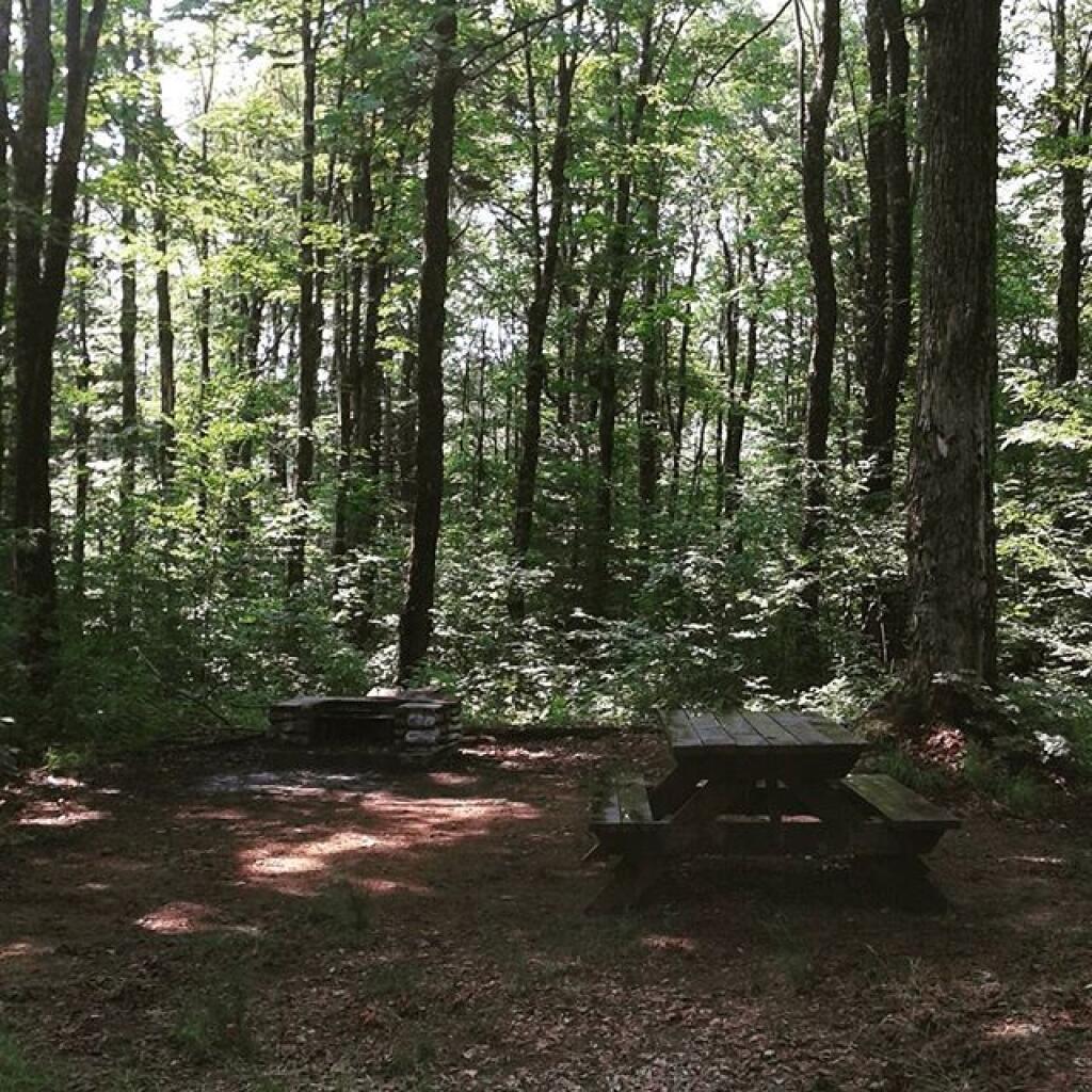 Photo: Campsite 38 is now available