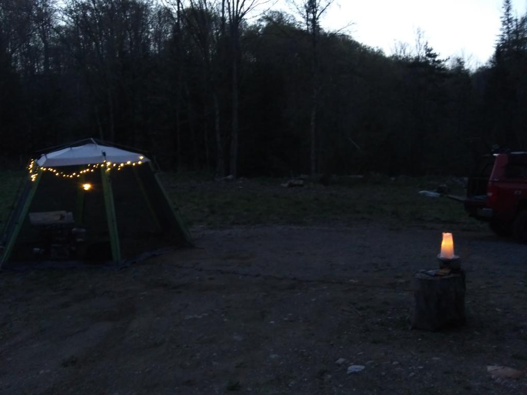 Photo: Bug tent 🎪 Photo: Bug tent 🎪