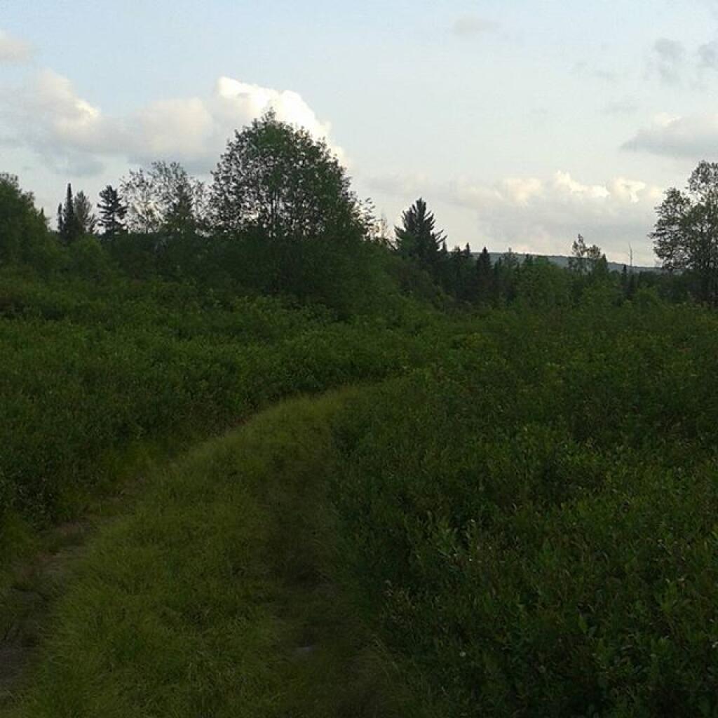 Photo: The Plains