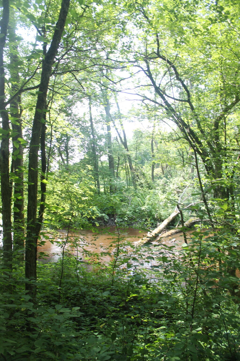 Photo: Wood Creek