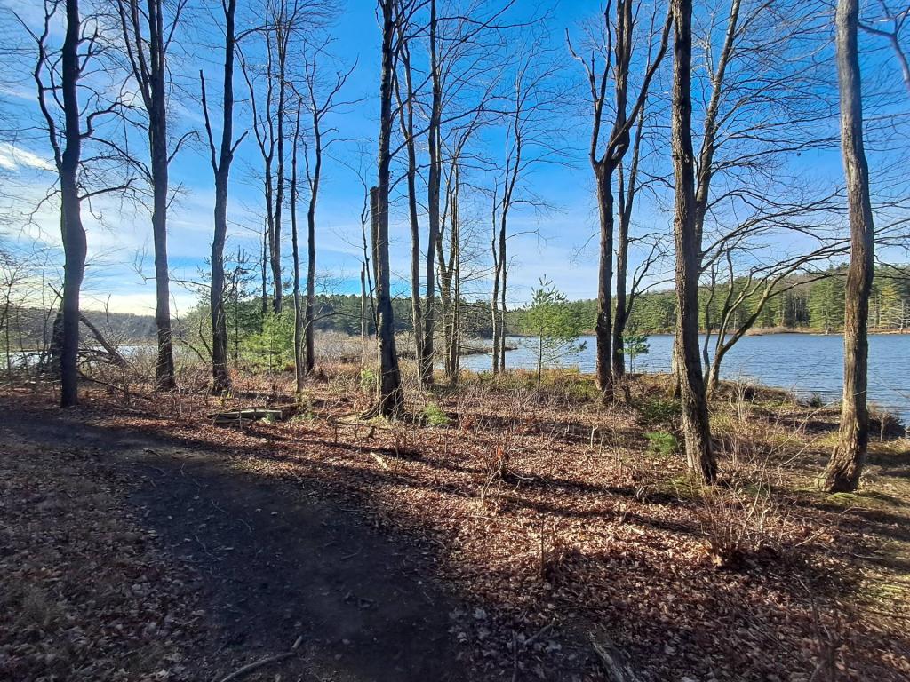 Photo: Autumn Morning on Stoney Pond Photo: Autumn Morning on Stoney Pond