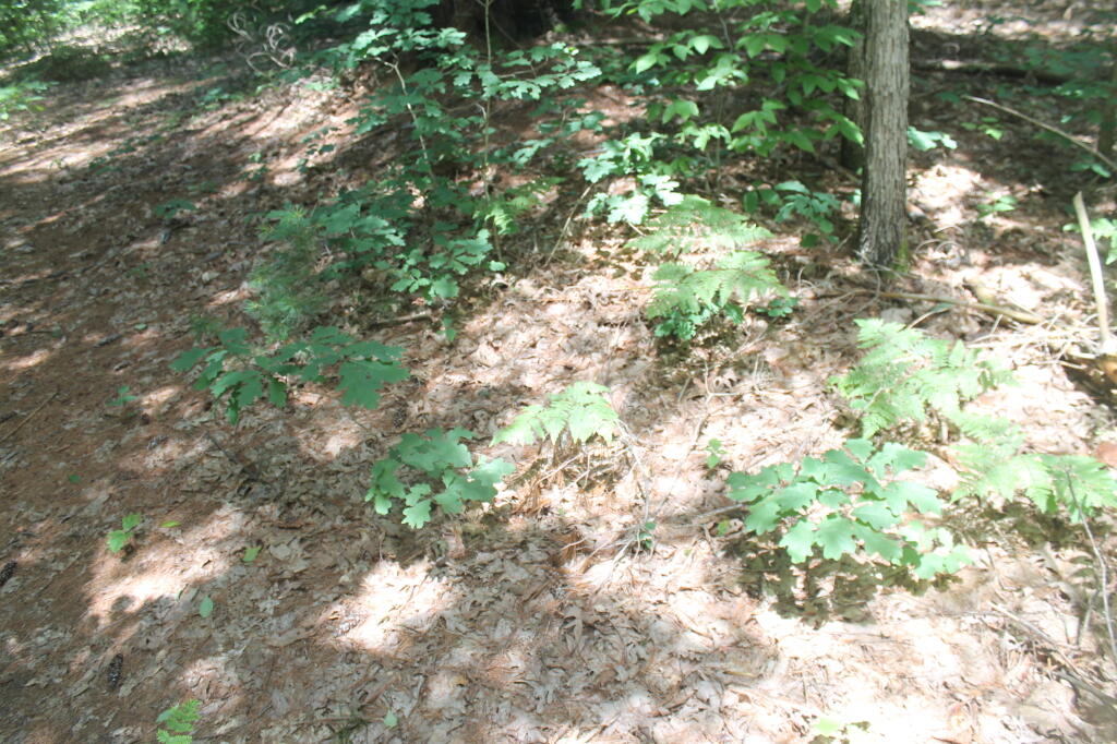 Photo: Photo.2013.06.30 14.23.46
