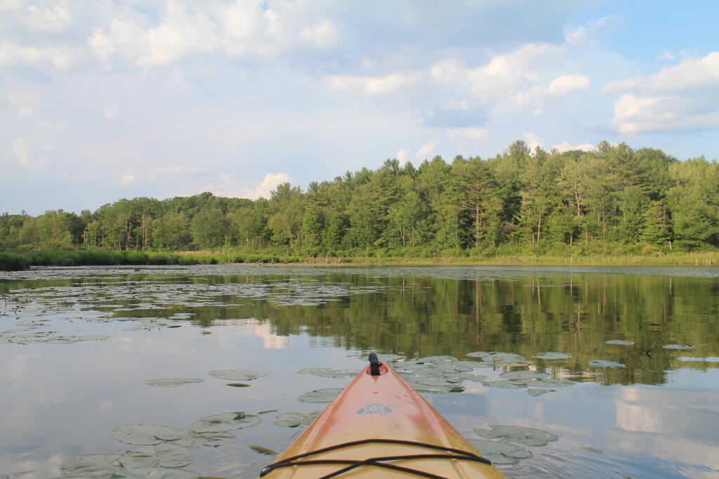 Photo: A Clear Evening on Lawson Lake Photo: A Clear Evening on Lawson Lake