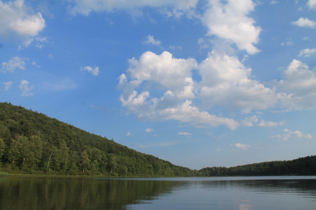 Photo: Summer's Day on Lawson Lake