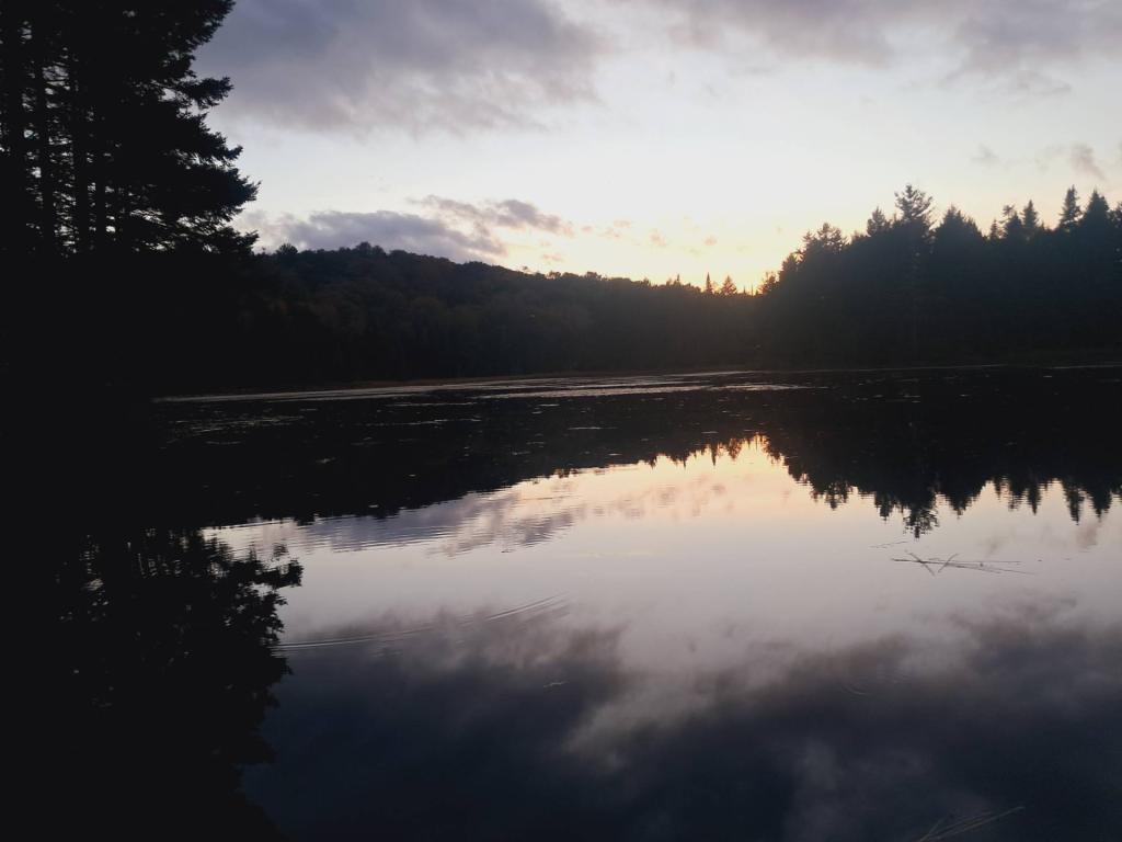 Photo: Evening at the Beaver Pond