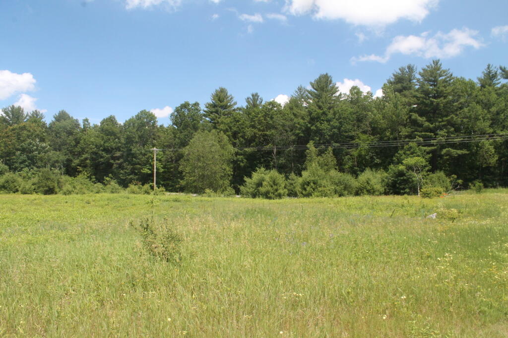 Photo: Open Field