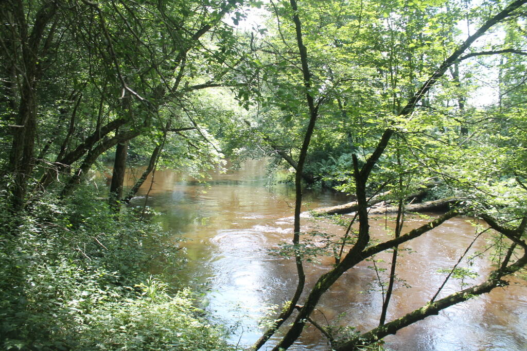 Photo: Wood Creek