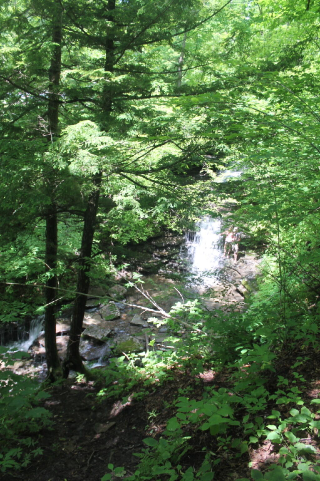 Photo: Small Waterfall Near Pixley Falls Photo: Small Waterfall Near Pixley Falls
