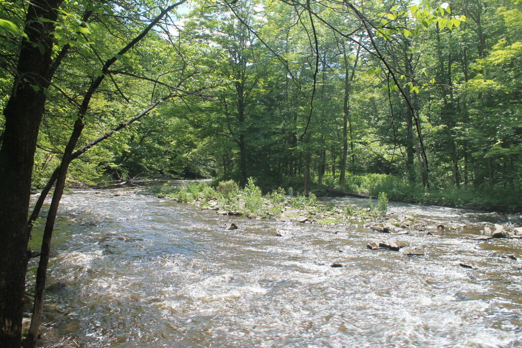 Photo: Looking Downstream Photo: Looking Downstream