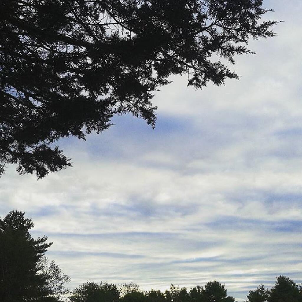 Photo: Cloudy evening but better then recent evenings