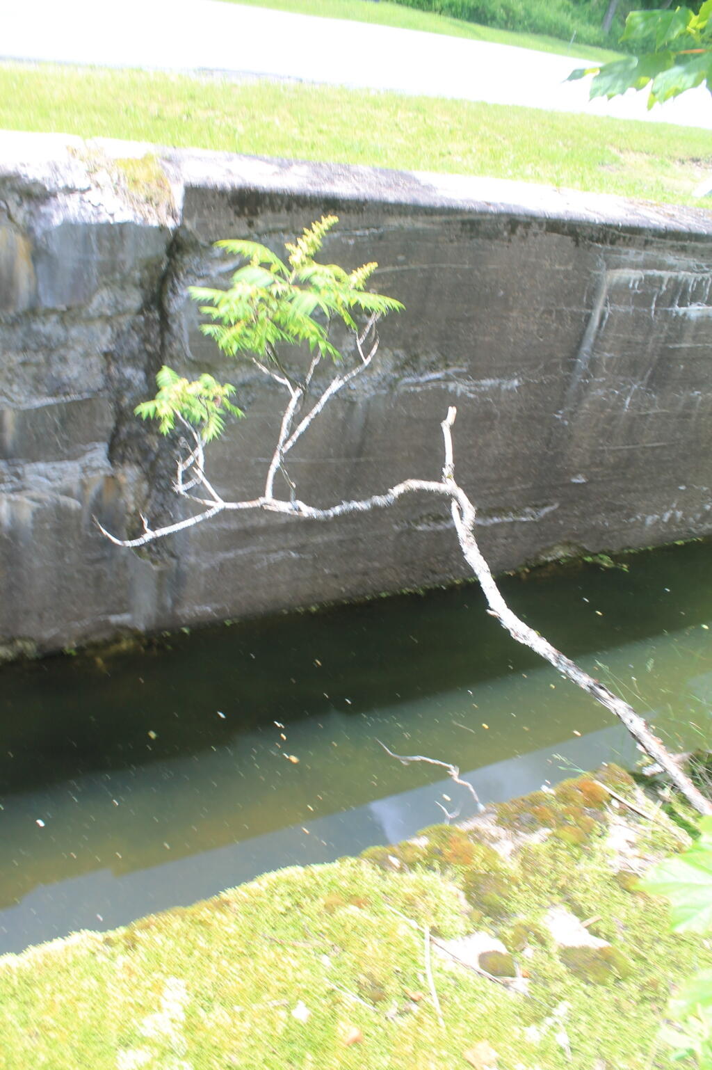 Photo: Another Lock Along NY 46 Photo: Another Lock Along NY 46