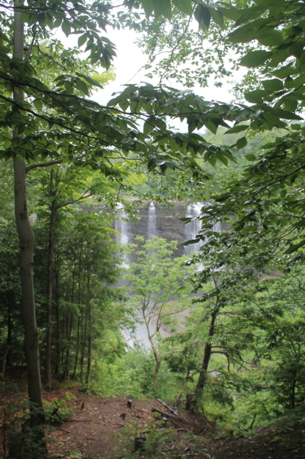 Photo: First Few of Falls Photo: First Few of Falls
