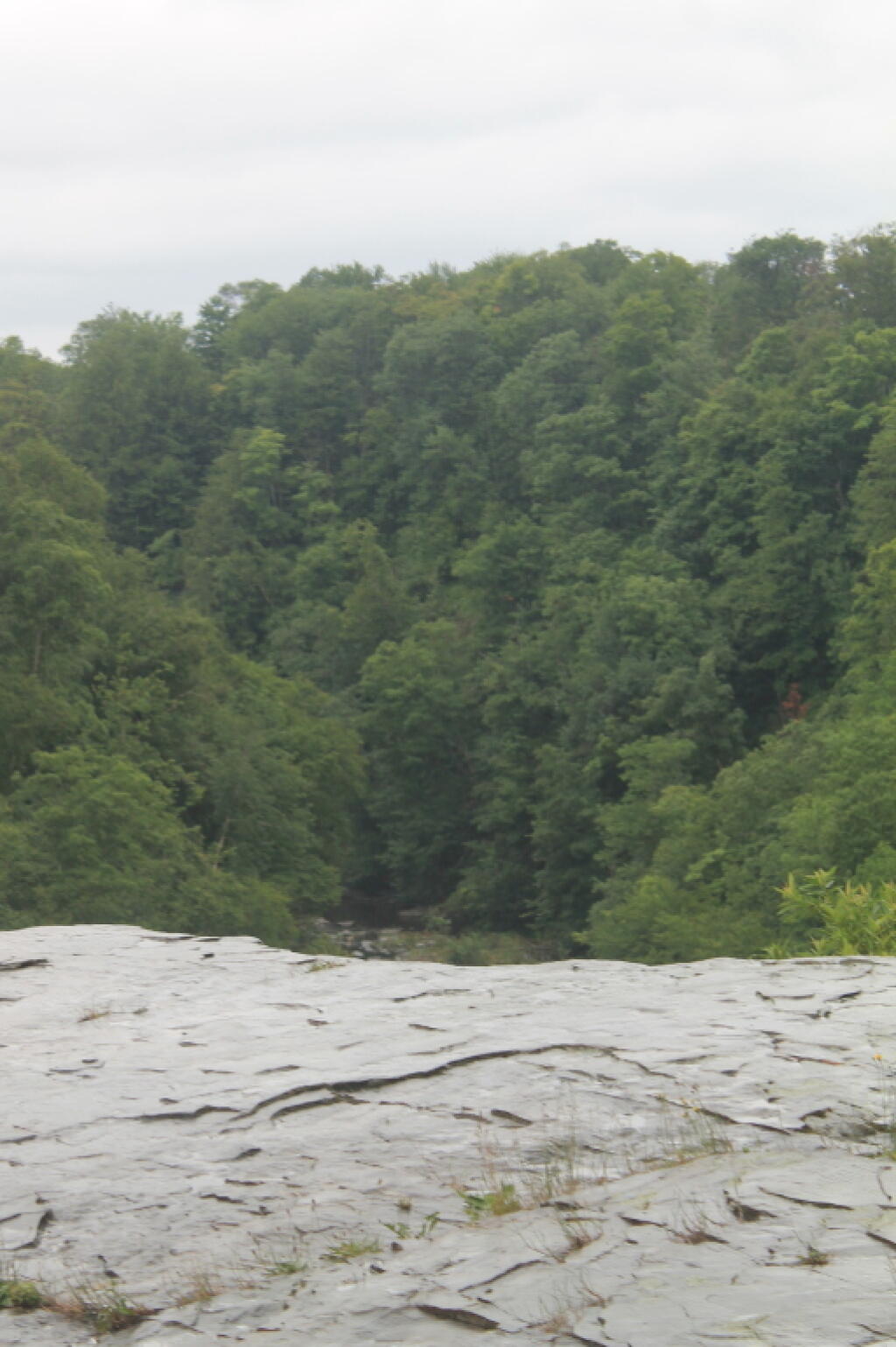 Photo: Gorge Below