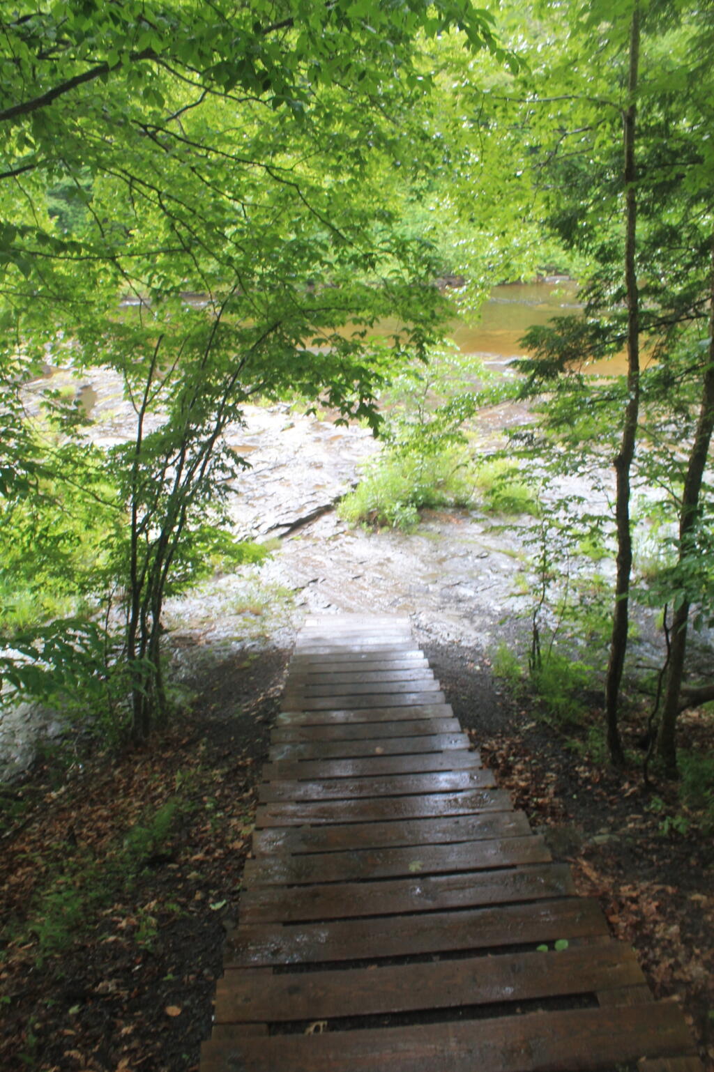 Photo: Stairway Down to Above Falls Photo: Stairway Down to Above Falls