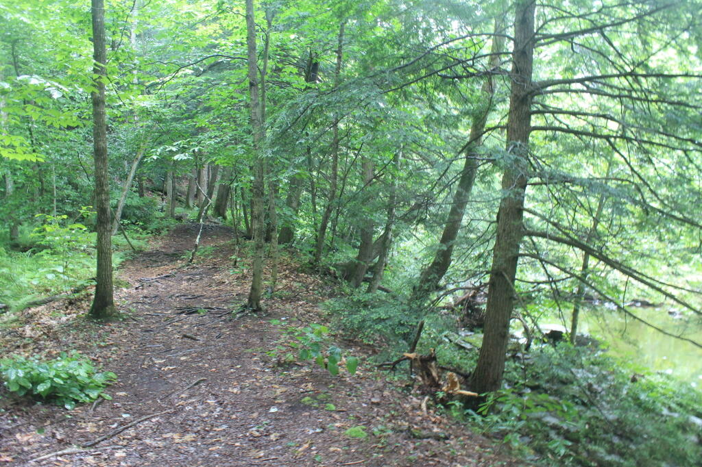 Photo: Salmon River Trail Photo: Salmon River Trail