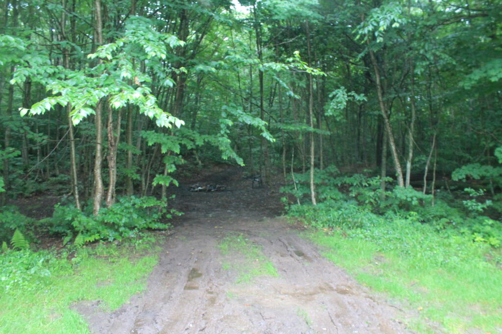 Photo: Undesignated Campsite at End of Hall Island Road Photo: Undesignated Campsite at End of Hall Island Road