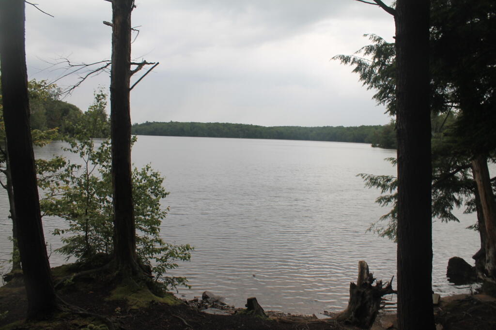 Photo: Salmon River Reservior from a Hall Island Campsite Photo: Salmon River Reservior from a Hall Island Campsite
