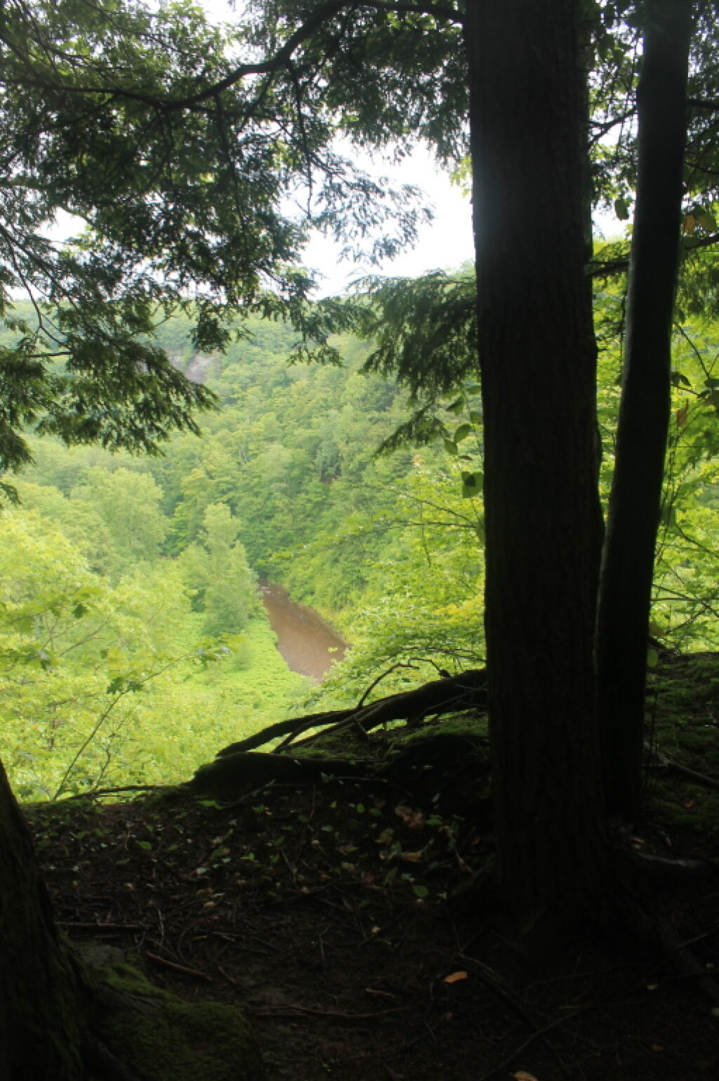 Photo: Gulf Creek Below