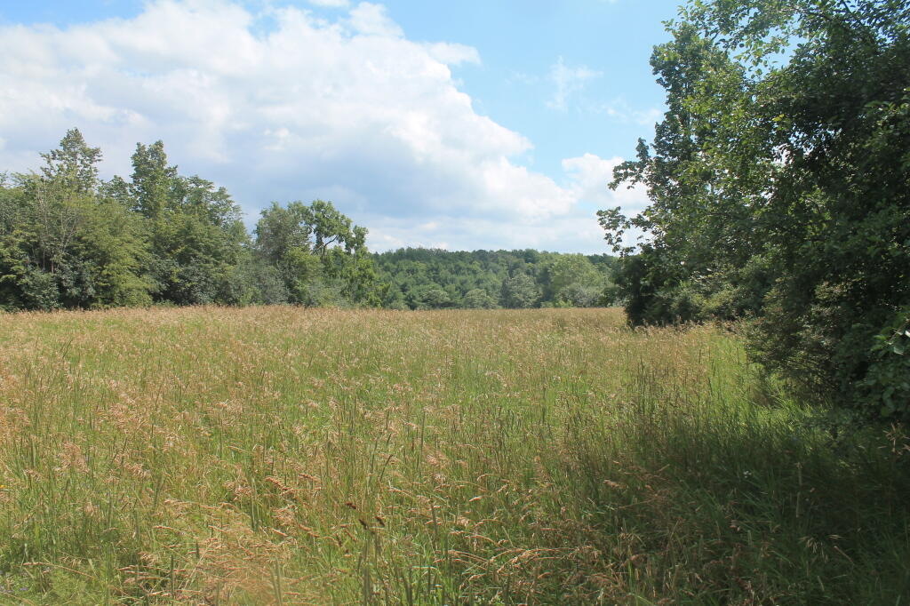 Photo: Fields in Hot Sun Photo: Fields in Hot Sun
