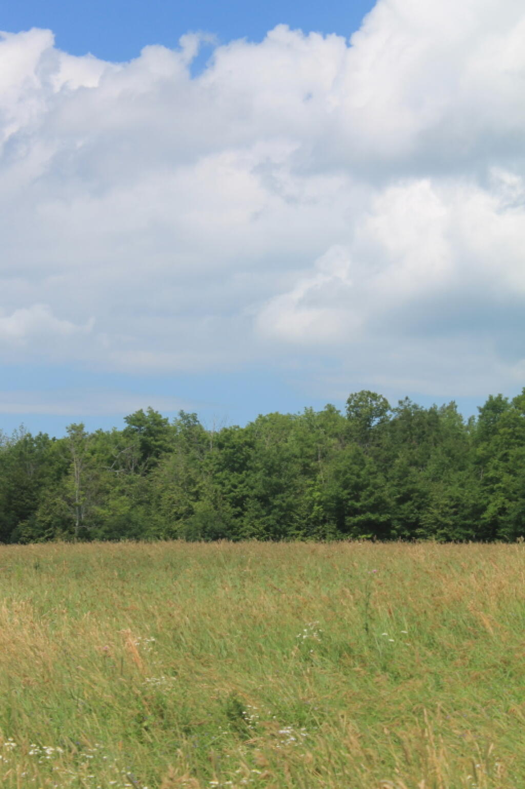 Photo: Clouds Hang Low Overhead Photo: Clouds Hang Low Overhead