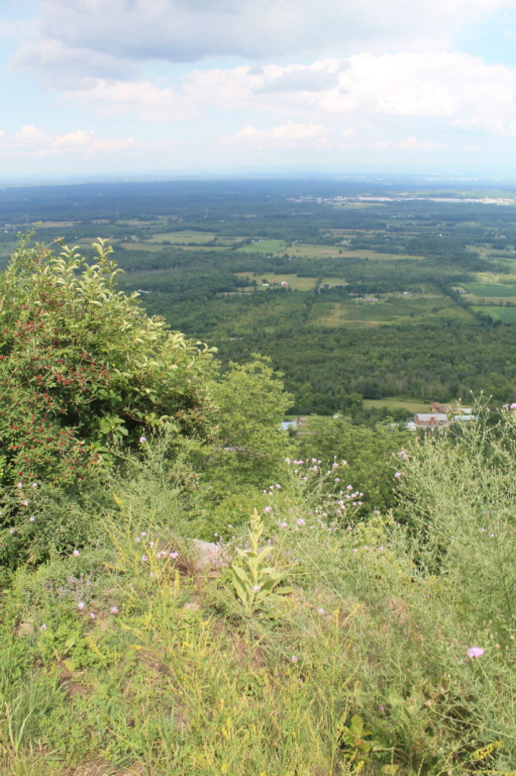 Photo: Northeast Photo: Northeast