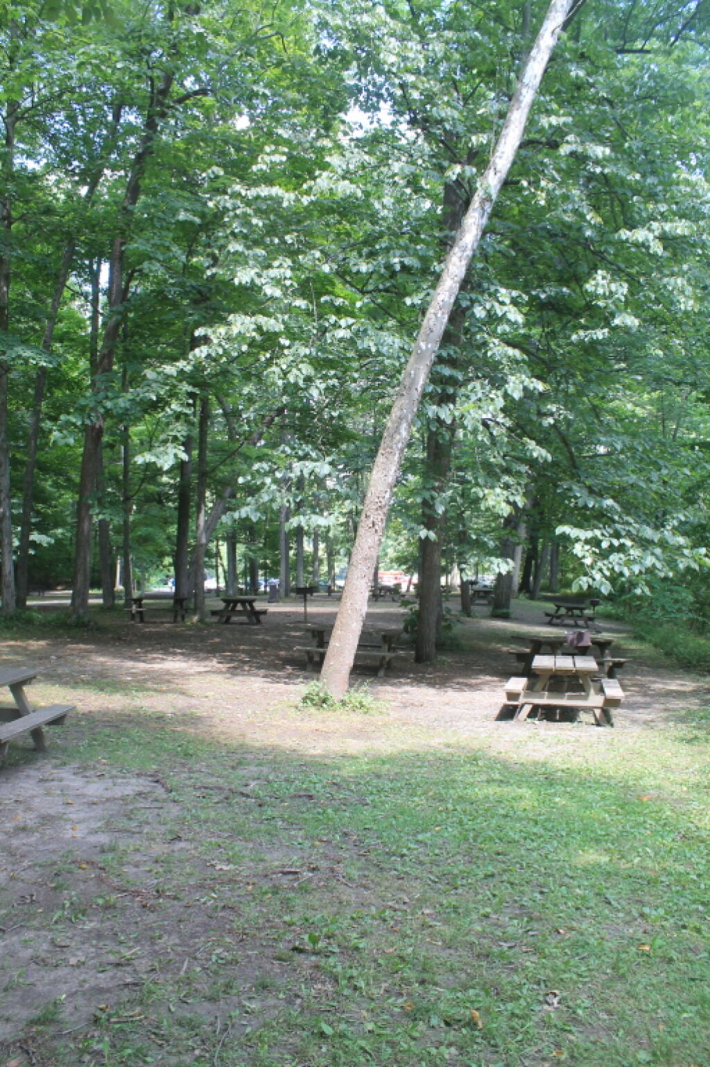 Photo: Largely Empty Picnic Area When Pool is Closed Photo: Largely Empty Picnic Area When Pool is Closed