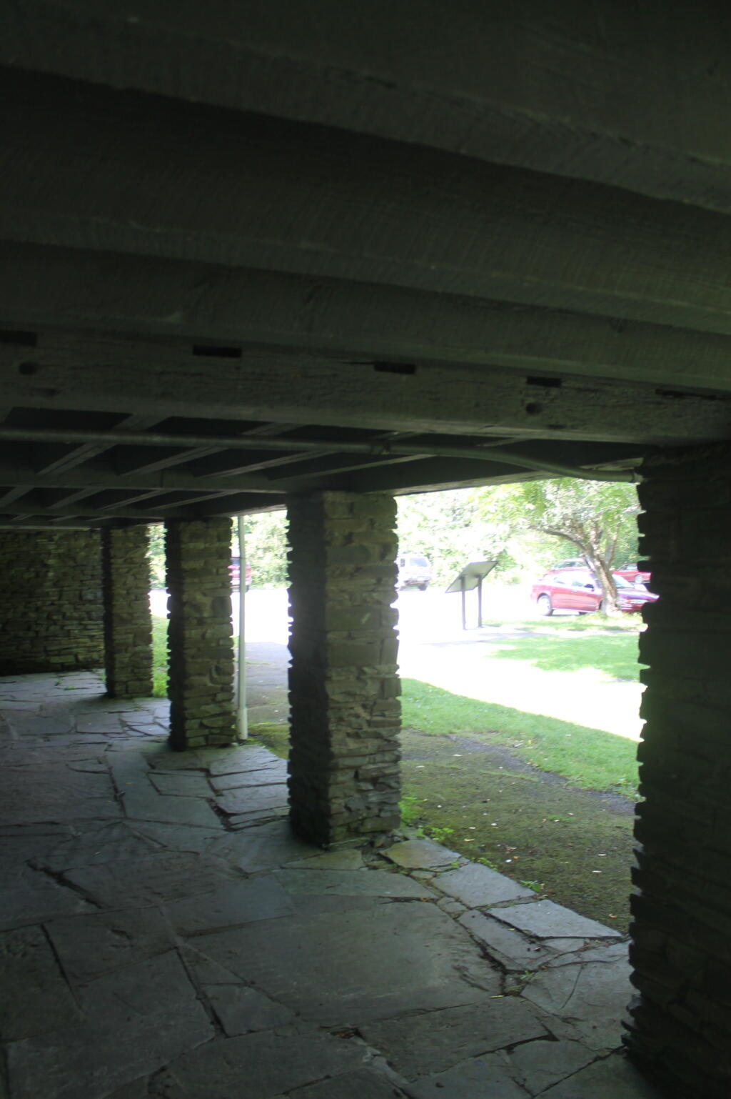 Photo: Under the Canopy