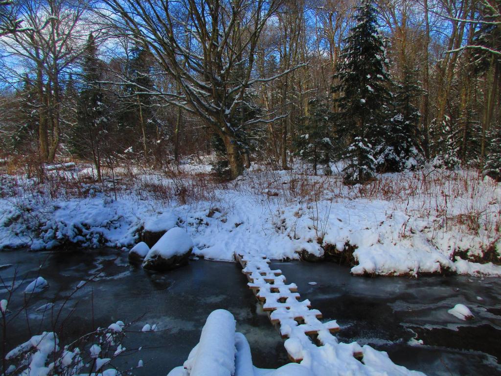 Photo: Icy crossing near Burnt Shanty Clearing on the Eleventh Mountain Trail