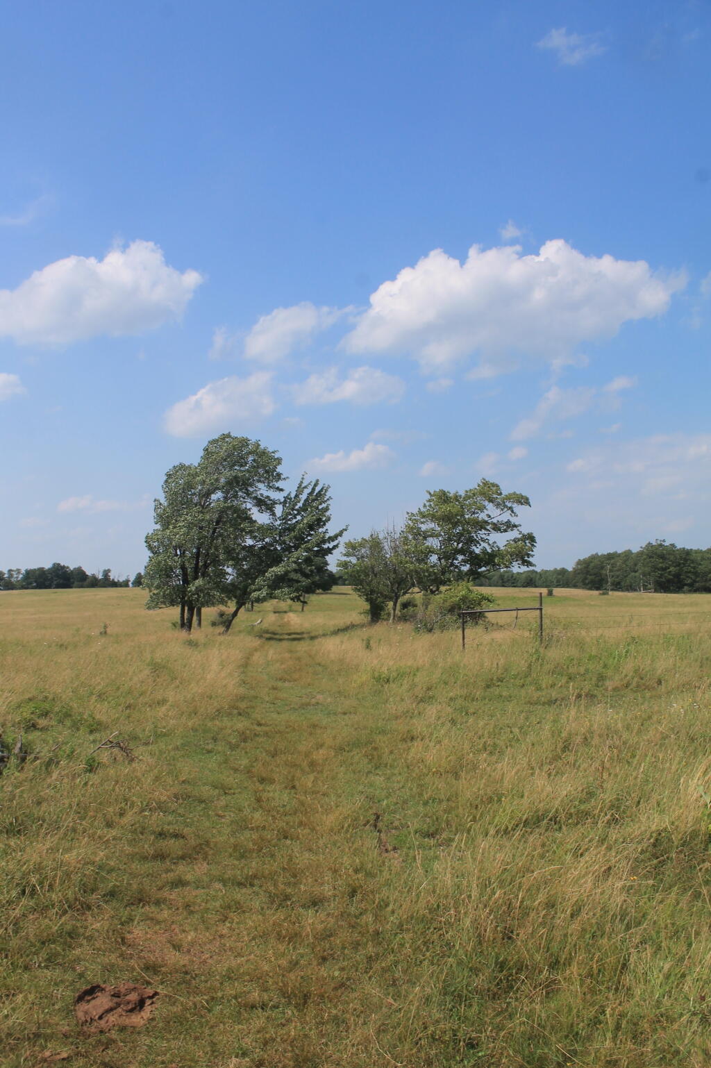 Photo: Interloken Trail