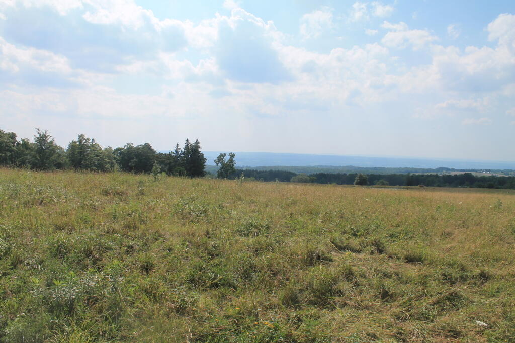 Photo: Pasture Photo: Pasture