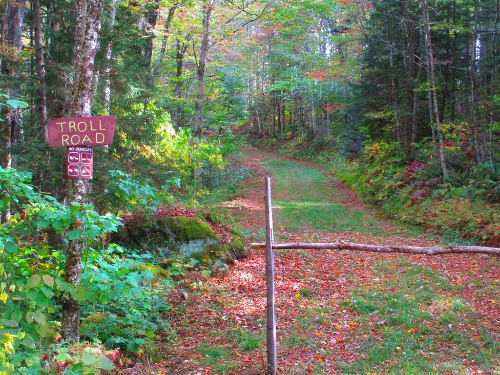 Photo: Troll Road Photo: Troll Road
