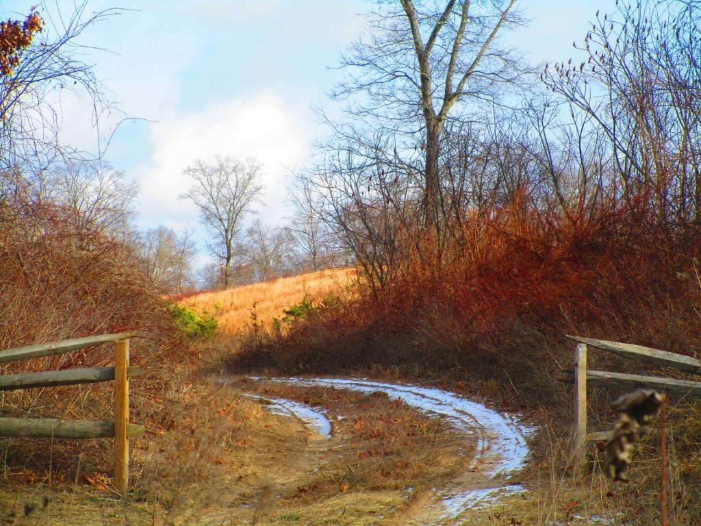 Photo: Service Road Between the Open Gate Photo: Service Road Between the Open Gate