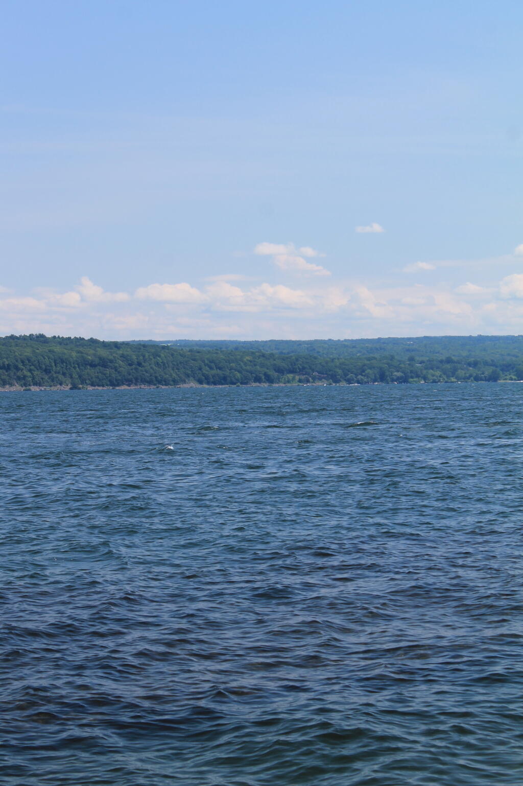 Photo: Other Side of Cayuga Lake