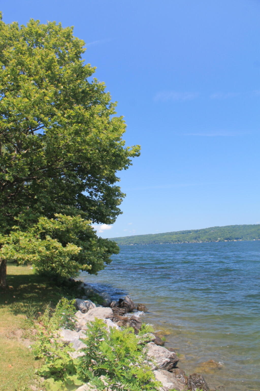 Photo: Shoreline Photo: Shoreline