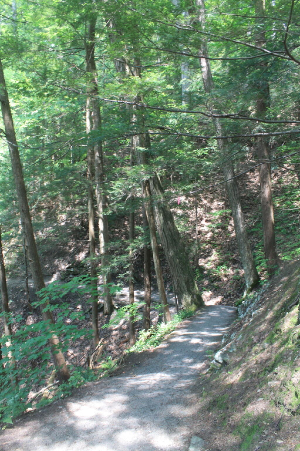 Photo: Foot Path in Lower Part of Gorge Trail Photo: Foot Path in Lower Part of Gorge Trail